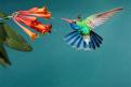 Hummingbird05